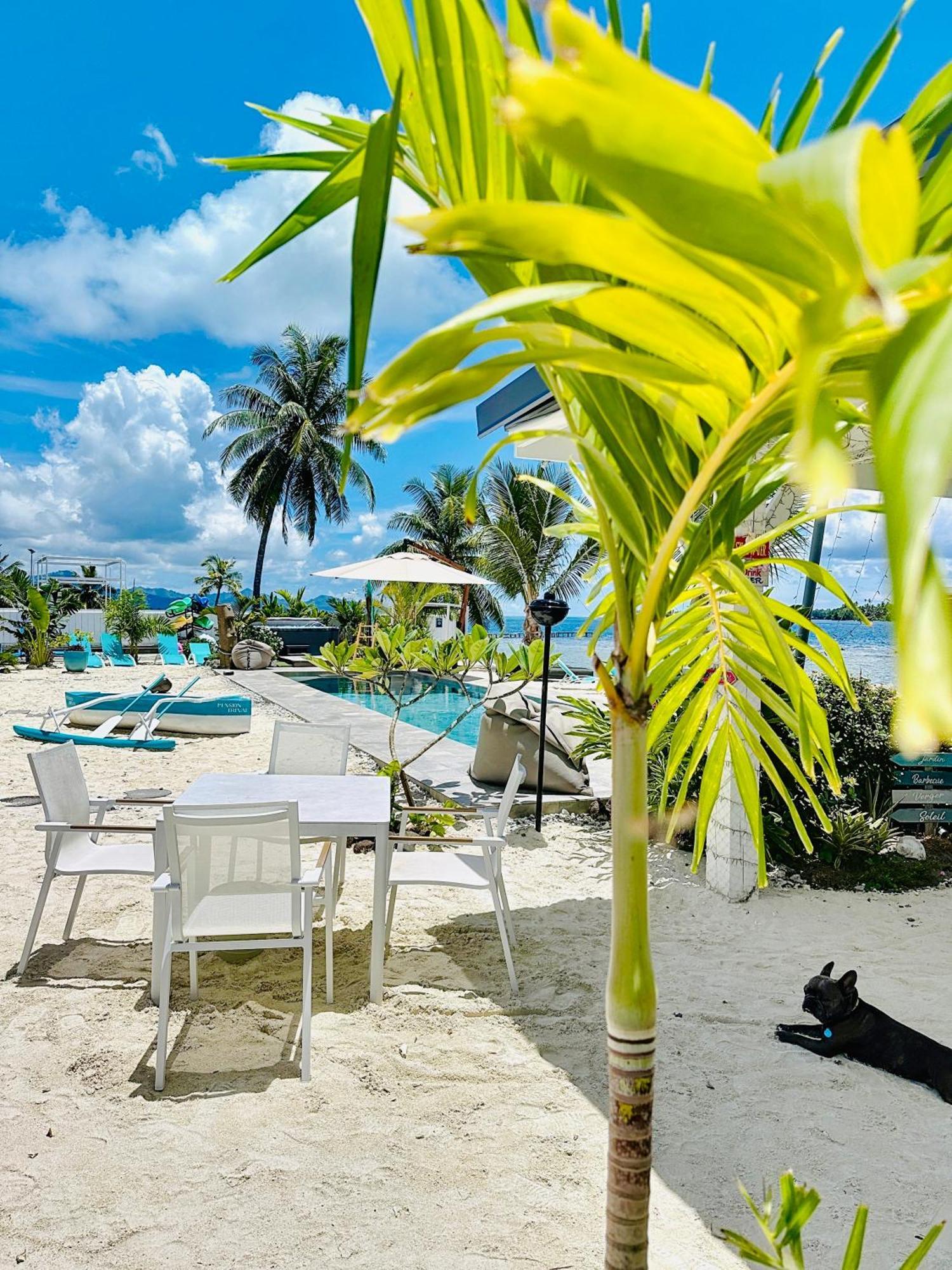 Pension Irivai, Appartement Uo Uo 3 Chambres Vue Mer Uturoa Ngoại thất bức ảnh